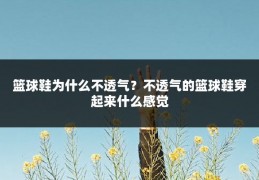篮球鞋为什么不透气?不透气的篮球鞋穿起来什么感觉