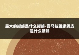 最大的蜥蜴是什么蜥蜴-喜马拉雅蜥蜴皮是什么蜥蜴