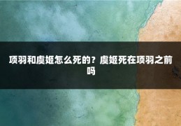项羽和虞姬怎么死的?虞姬死在项羽之前吗