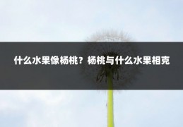 什么水果像杨桃？杨桃与什么水果相克