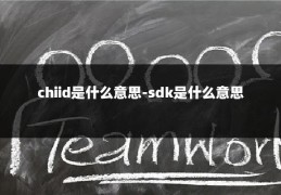 chiid是什么意思-sdk是什么意思