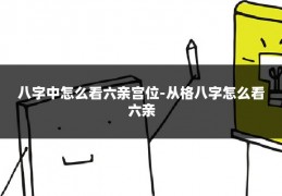 八字中怎么看六亲宫位-从格八字怎么看六亲
