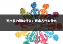 死水里的螺叫什么？死水古代叫什么