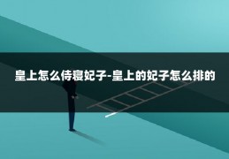 皇上怎么侍寝妃子-皇上的妃子怎么排的