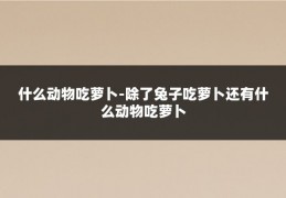 什么动物吃萝卜-除了兔子吃萝卜还有什么动物吃萝卜