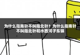 为什么指南针不叫指北针?为什么指南针不叫指北针和水西河子东镇