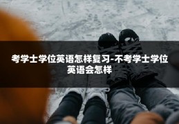 考学士学位英语怎样复习-不考学士学位英语会怎样