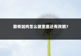 黎脊加肉怎么做里面还有孜燃?