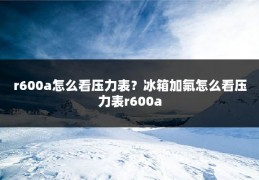 r600a怎么看压力表?冰箱加氟怎么看压力表r600a