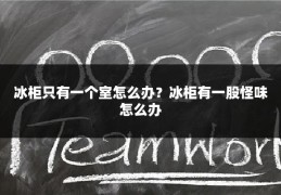 冰柜只有一个室怎么办？冰柜有一股怪味怎么办