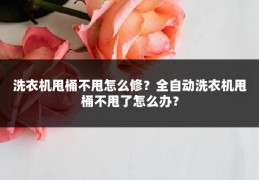 洗衣机甩桶不甩怎么修?全自动洗衣机甩桶不甩了怎么办?