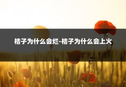 桔子为什么会烂-桔子为什么会上火