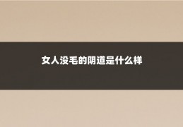 女人没毛的阴道是什么样