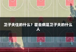 卫子夫住的什么?霍去病是卫子夫的什么人