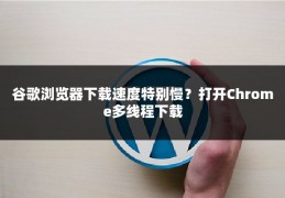 谷歌浏览器下载速度特别慢？打开Chrome多线程下载