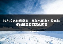拉布拉多前脚掌裂口是怎么回事？拉布拉多的脚掌裂口怎么回事