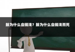 鲸为什么会搁浅？鲸为什么会搁浅而死
