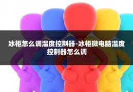 冰柜怎么调温度控制器-冰柜微电脑温度控制器怎么调
