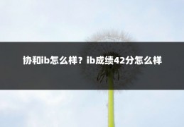 协和ib怎么样?ib成绩42分怎么样