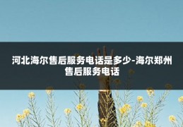 河北海尔售后服务电话是多少-海尔郑州售后服务电话