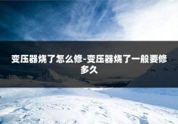 变压器烧了怎么修-变压器烧了一般要修多久