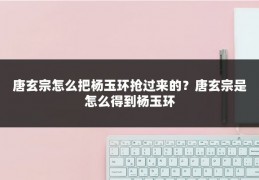 唐玄宗怎么把杨玉环抢过来的？唐玄宗是怎么得到杨玉环