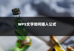 WPS文字如何插入公式