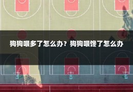 狗狗喂多了怎么办?狗狗喂馋了怎么办