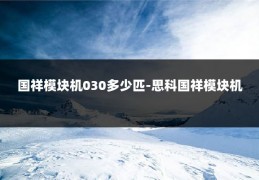 国祥模块机030多少匹-思科国祥模块机