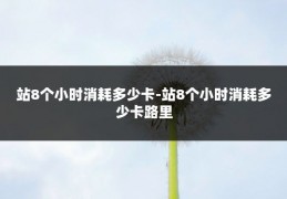 站8个小时消耗多少卡-站8个小时消耗多少卡路里