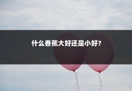 什么香蕉大好还是小好?
