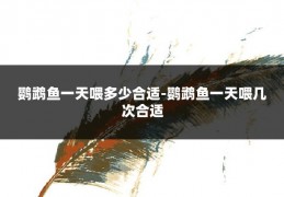 鹦鹉鱼一天喂多少合适-鹦鹉鱼一天喂几次合适