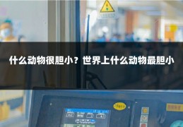 什么动物很胆小？世界上什么动物最胆小