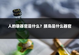 人的吸器官是什么？胰岛是什么器官