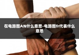 在电路图AN什么意思-电路图fr代表什么意思