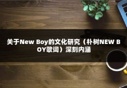 关于New Boy的文化研究（朴树NEW BOY歌词）深刻内涵