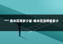 *** 爆米花用多少量-爆米花含钾量多少