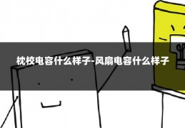 枕校电容什么样子-风扇电容什么样子