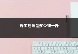 野生癌黄莲多少钱一斤