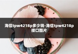海信tpw4218p多少钱-海信tpw4218p接口图片