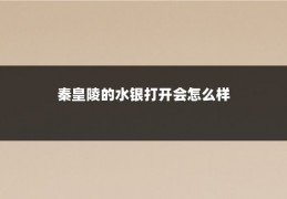 秦皇陵的水银打开会怎么样