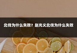 北伐为什么失败?赵光义北伐为什么失败