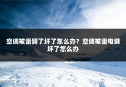 空调被雷劈了坏了怎么办?空调被雷电劈坏了怎么办