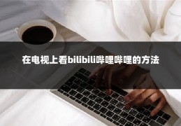 在电视上看bilibili哔哩哔哩的方法