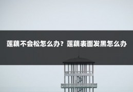 莲藕不会松怎么办？莲藕表面发黑怎么办