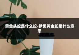 黄金头蛇是什么蛇-梦见黄金蛇是什么意思