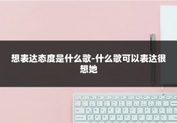 想表达态度是什么歌-什么歌可以表达很想她