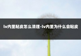 lv内里粘皮怎么清理-lv内里为什么会粘皮