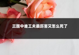 三国中谁工夫最历害又怎么死了