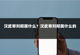 汉武帝刘彻属什么？汉武帝刘彻属什么的